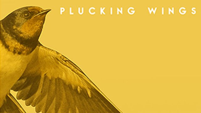 080115plucking