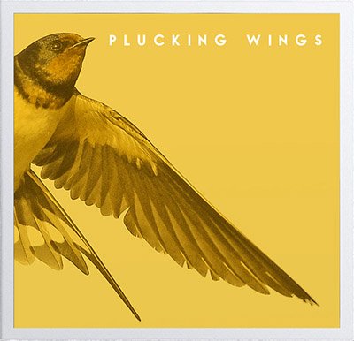 plucking1