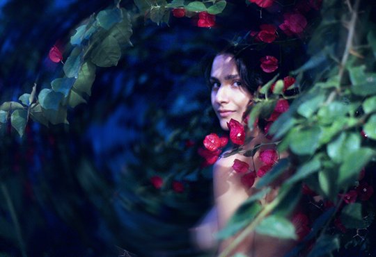 ritapromo1_blur