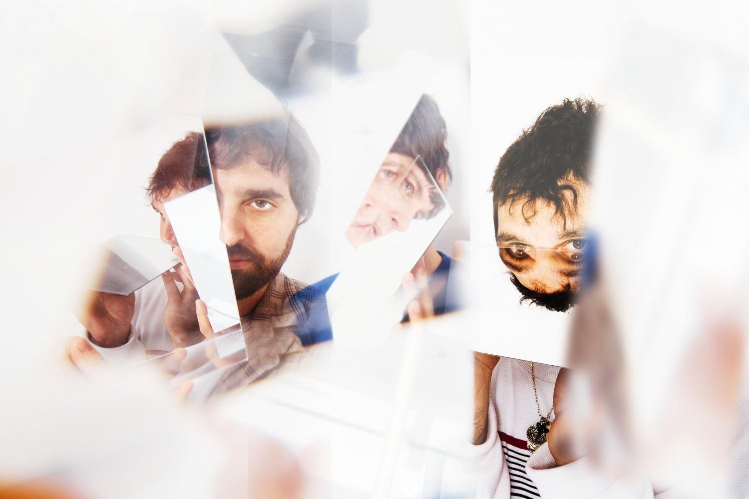 130217_animalcollective