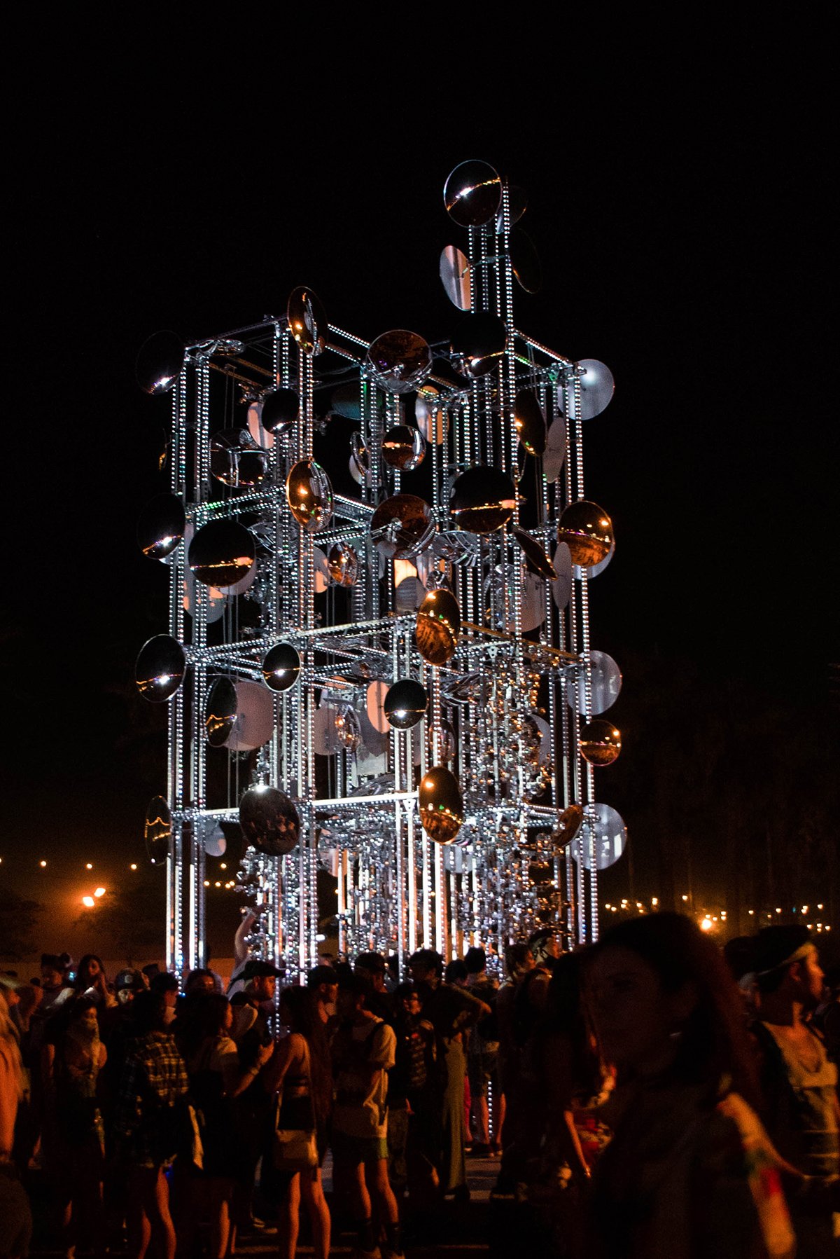 coachella_artsy (13)