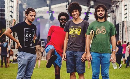 boogarins
