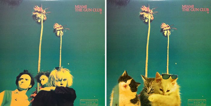 This-guy-created-very-cute-covers-of-the-music-world-replacing-singers-with-cats-5a2e54e8ac0de__700
