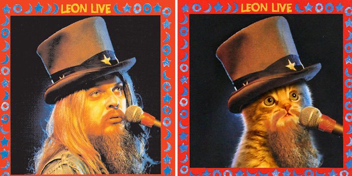 This-guy-created-very-cute-covers-of-the-music-world-replacing-singers-with-cats-5a2e6255f3ec8__700