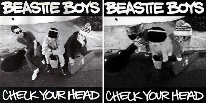 This-guy-created-very-cute-covers-of-the-music-world-replacing-singers-with-cats-5a2e804a82c8a__700